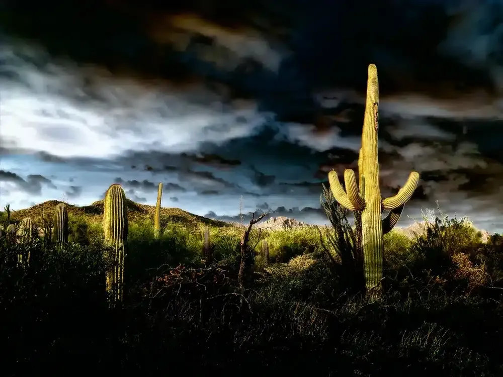 monsoon in Prescott Valley, AZ