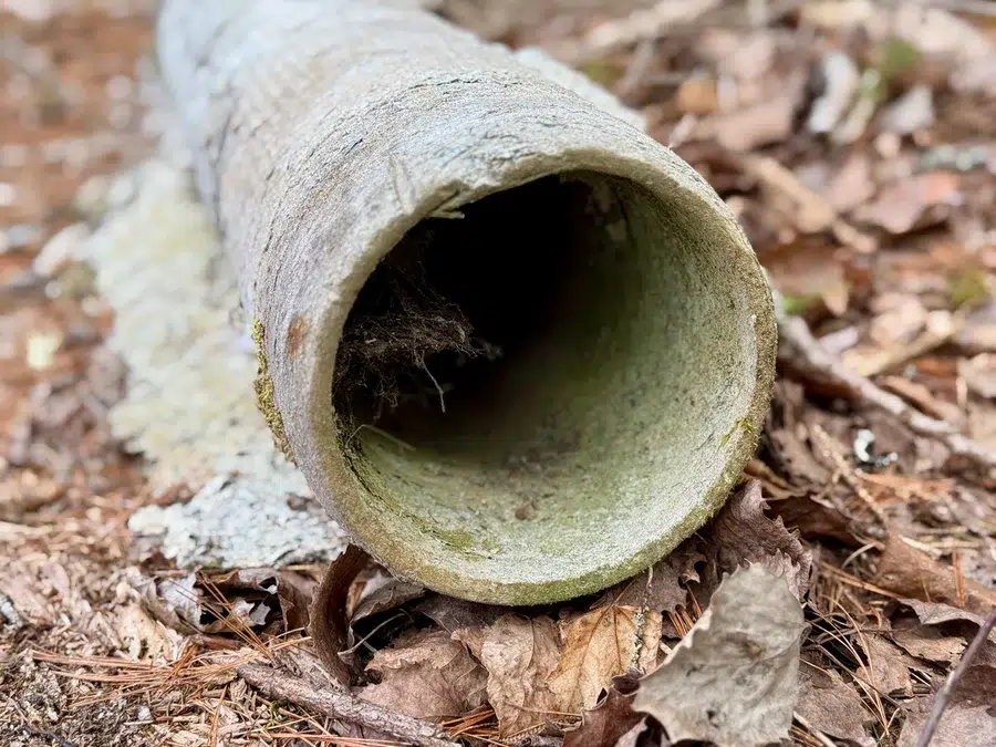 old sewer line